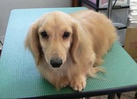 パパ初公開