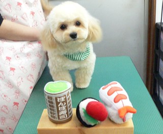 ララくん