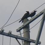 フラれたのかい？ 2010/08/19 21:37:27