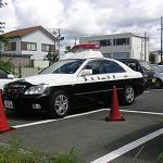 ここ よくいるよね～ 2010/08/11 16:53:52