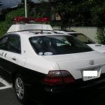 今日も来てます（笑