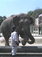 豊橋総合動植物公園