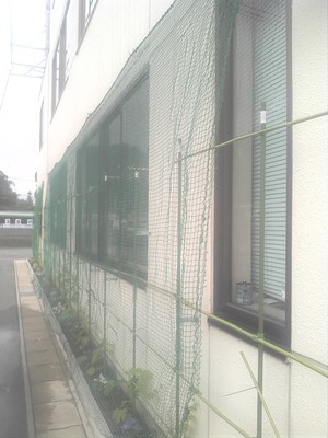 グリーンカーテン