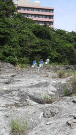 清掃活動
