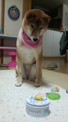 うまそう・・・