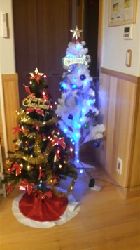 クリスマスツリー