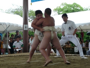 わんぱく相撲県大会