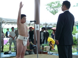 わんぱく相撲県大会
