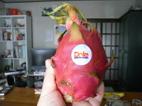 ドラゴンフルーツ 2011/03/23 09:41:18