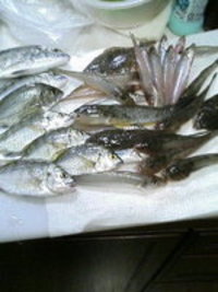 浜名湖の幸達 2006/10/15 22:52:00