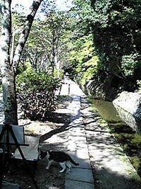 くらり 2007/10/10 20:02:30