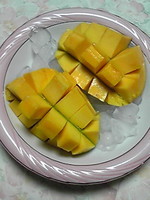 暑中お見舞い申しあげますo(≧∀≦)o 2008/07/25 23:09:51