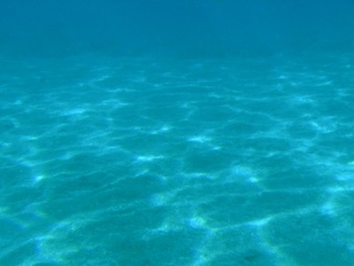 大瀬崎の水底水中写真