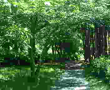 癒し画像・・・