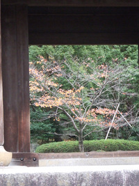 紅葉・・・20連発　（前編）