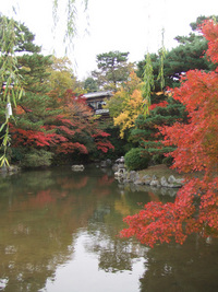 紅葉・・・20連発　（前編）