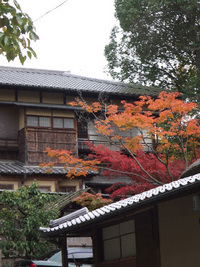 紅葉・・・20連発　（前編）