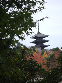 紅葉・・・20連発　（前編）
