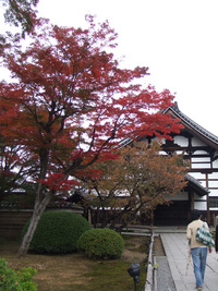 紅葉・・・20連発　（前編）