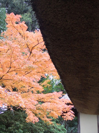 紅葉・・・20連発　（後編）