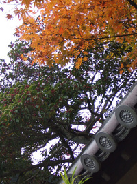紅葉・・・20連発　（後編）