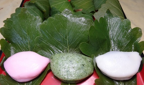 今が旬のお菓子　かしわ餅です！