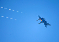 外来機
