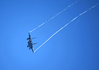 外来機