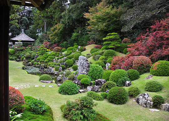 龍潭寺の紅葉