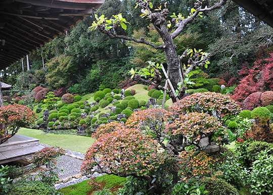 龍潭寺の紅葉