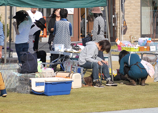 久しぶりの譲渡会