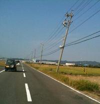 台風の爪あと