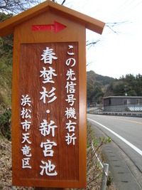 春野の新看板