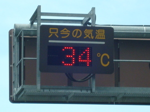 春野も夏日