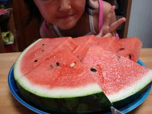 夏のおやつはやっぱり。