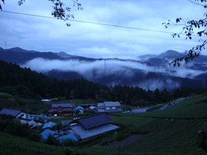 田舎の癒し