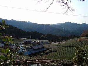 田舎の癒し