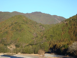 本日の秋葉山