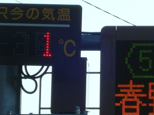 春野の朝は、まだまだ寒い。