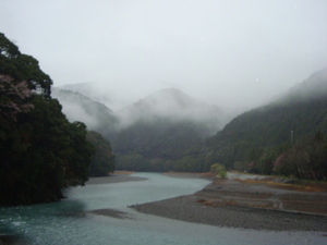 本日の秋葉山は、霧に覆われ見ることができません。