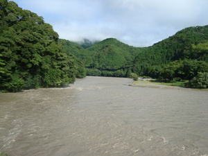 本日の気田川は昨日の雨で