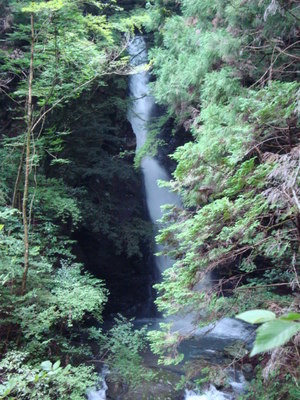 蛭にもめげず樽山の滝へ