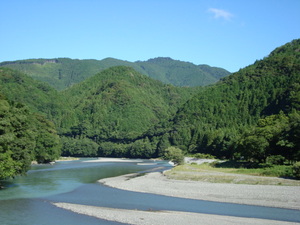 おはようございます。本日も春野は快晴です。