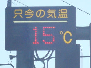 本日の春野