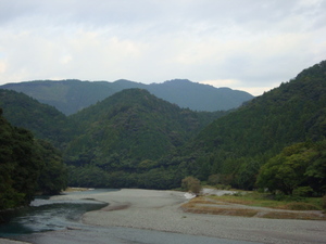 本日の春野