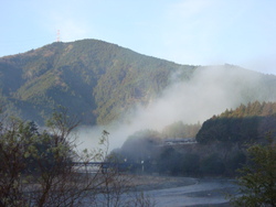 １月４日、本日の春野