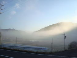 １月４日、本日の春野