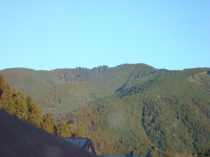 １月７日春野は快晴