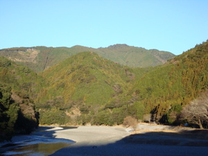 １月７日春野は快晴