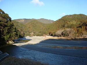 １月２０日、本日の春野
